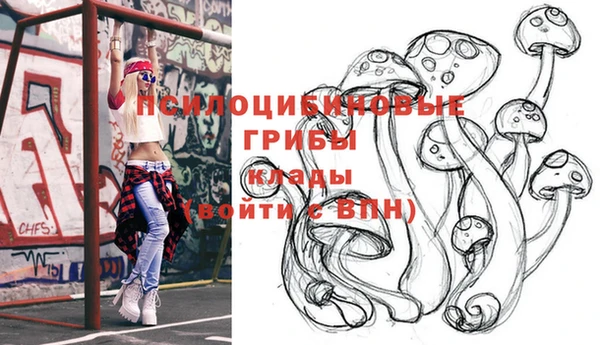 МДПВ Балахна