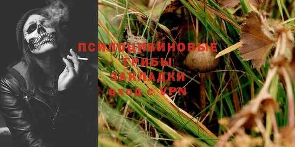 ПСИЛОЦИБИНОВЫЕ ГРИБЫ Балабаново