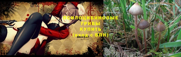 ПСИЛОЦИБИНОВЫЕ ГРИБЫ Балабаново
